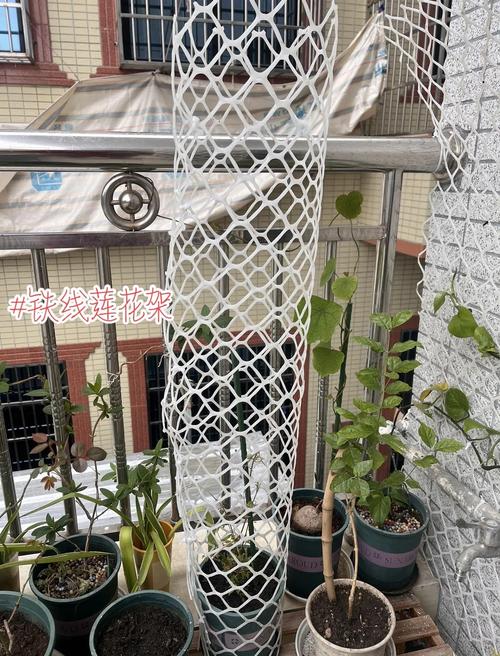 自制爬藤花架？自制爬藤花架子废物利用？-第8张图片-优品飞百科