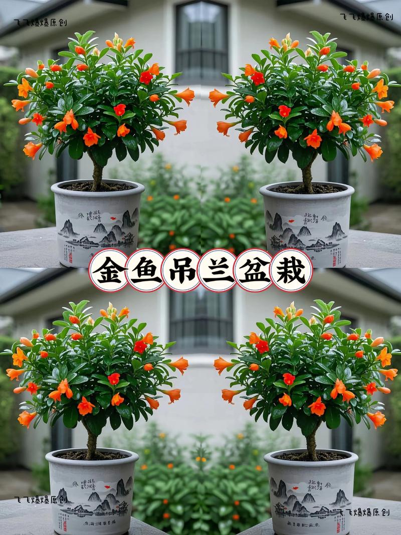 新买的吊兰怎么养，新买的吊兰怎么养护和浇水-第3张图片-优品飞百科