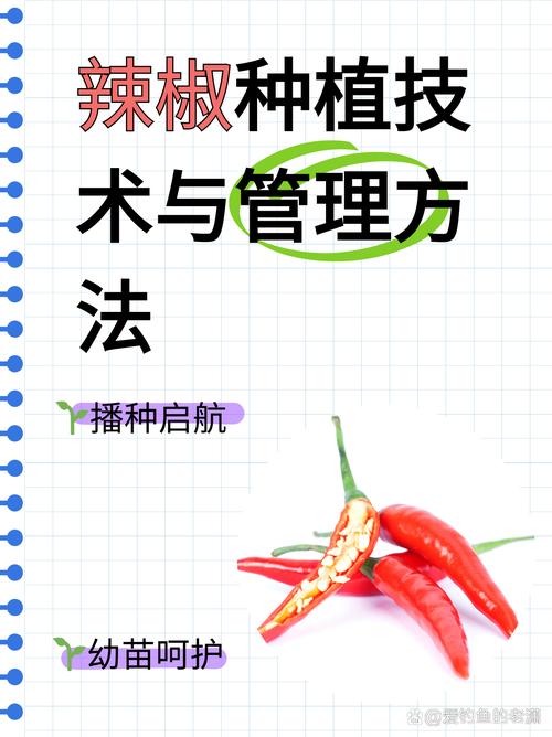 辣椒怎样育苗？辣椒怎样育苗和管理？-第4张图片-优品飞百科