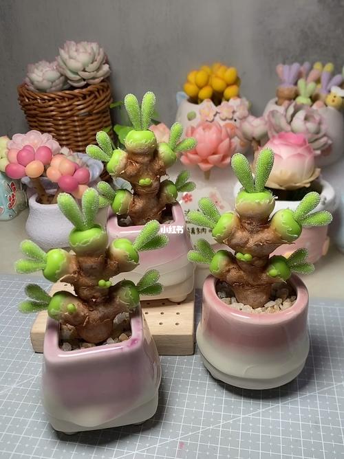 碧光环长大了好看吗，碧光环长大了什么样？-第2张图片-优品飞百科