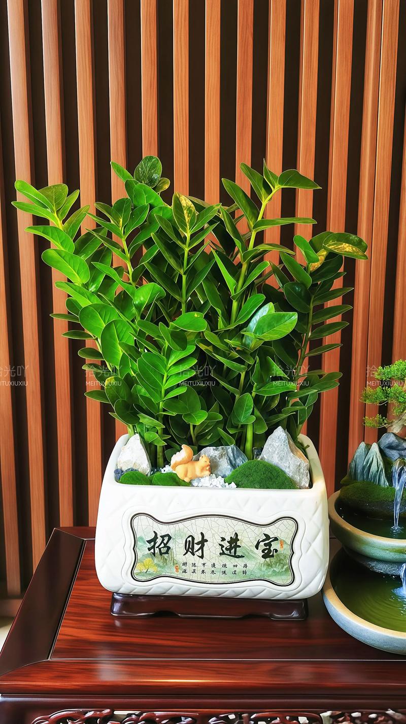 金钱树有毒吗？金钱树有毒吗对身体有害吗？-第4张图片-优品飞百科