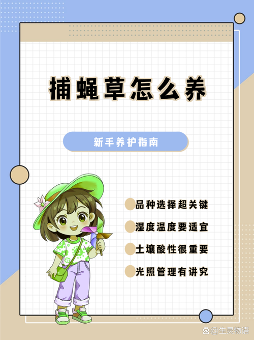 捕蝇草可以放在卧室吗，捕蝇草能在卧室养吗-第8张图片-优品飞百科
