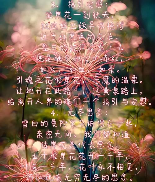 彼岸花是石蒜花吗?彼岸花是否石蒜花?-第2张图片-优品飞百科 彼岸花是石蒜花吗?彼岸花是否石蒜花?-第2张图片-优品飞百科