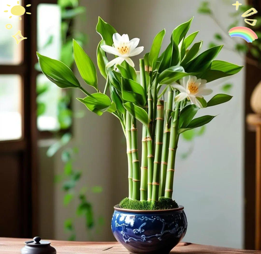 哪些花可以代表福禄寿喜?哪些花可以代表福禄寿喜喜?-第2张图片-优品飞百科 哪些花可以代表福禄寿喜?哪些花可以代表福禄寿喜喜?-第2张图片-优品飞百科