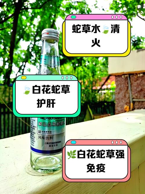 白花蛇舌草的传说，白花蛇舌草民间叫什么?-第2张图片-优品飞百科