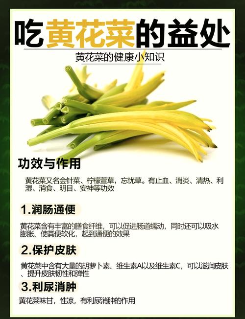 黄花菜有毒吗，吃黄花菜有什么好处，黄花菜有毒吗,吃黄花菜有什么好处吗-第5张图片-优品飞百科