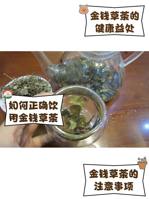 孕妇可以喝金钱草泡的水吗，金钱草泡水喝的好处？孕妇可不可以喝金钱草水？-第2张图片-优品飞百科