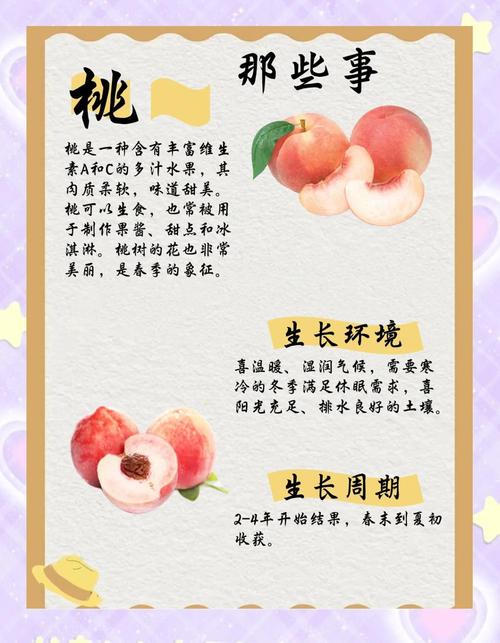 桃子和什么不能一起吃，桃子和什么不能一起吃会中毒？-第6张图片-优品飞百科