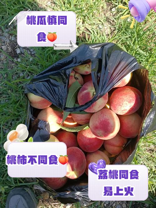桃子和什么不能一起吃，桃子和什么不能一起吃会中毒？-第7张图片-优品飞百科