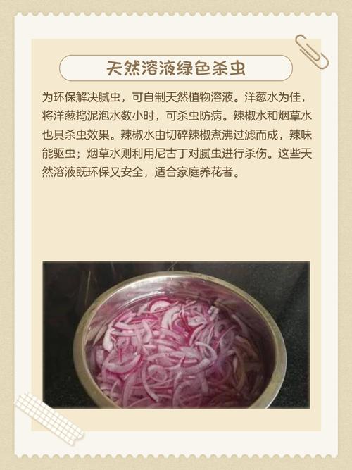 给花浇点洗头水，虫子一碰就丧命，花朵猛开刹不住！，洗头水能浇菜吗-第7张图片-优品飞百科