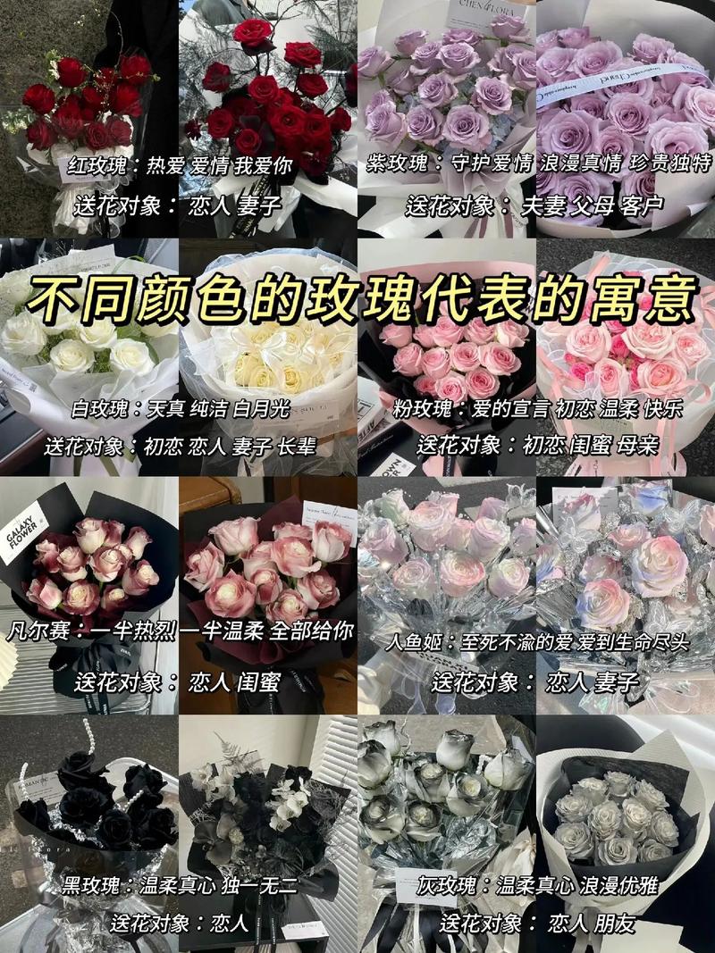 玫瑰花有哪些颜色，玫瑰花有哪些颜色外形描写？