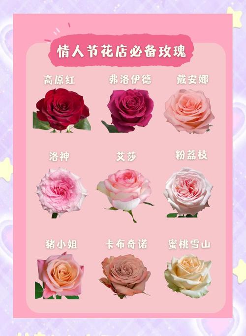 玫瑰花有哪些颜色，玫瑰花有哪些颜色外形描写？-第2张图片-优品飞百科