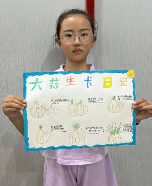 玫瑰花有哪些颜色，玫瑰花有哪些颜色外形描写？-第4张图片-优品飞百科