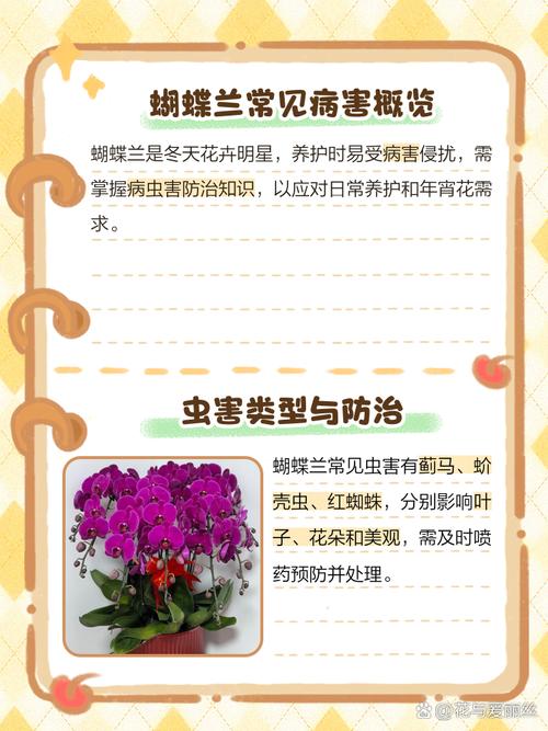 蝴蝶兰常见病以及防治，常见病和用药，蝴蝶兰病害图片及防治