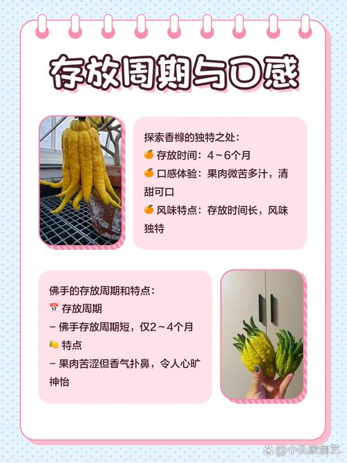 香橼的功效与作用，香橼的功效与作用吃法？-第2张图片-优品飞百科