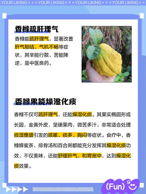 香橼的功效与作用，香橼的功效与作用吃法？-第4张图片-优品飞百科