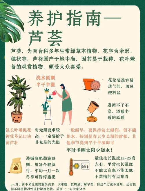 盆栽的芦荟可以擦脸吗？盆栽的芦荟可以擦脸吗图片？