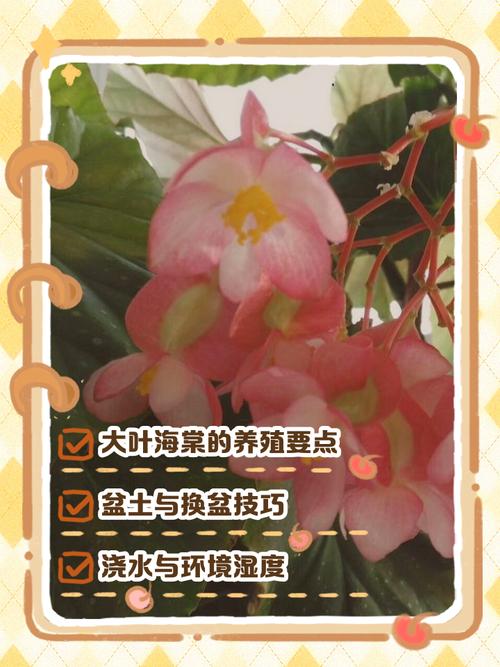 海棠花的养殖方法？重瓣海棠花的养殖方法？