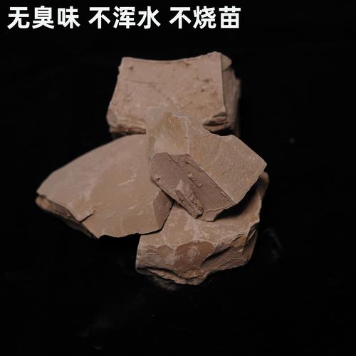 碗莲可以用沙子养吗？碗莲可以用沙子养吗视频？-第2张图片-优品飞百科