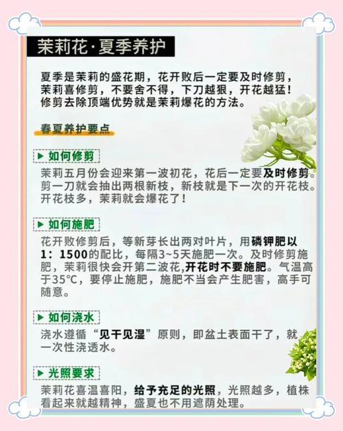 茉莉什么季节开花，垂柳茉莉什么季节开花？-第3张图片-优品飞百科