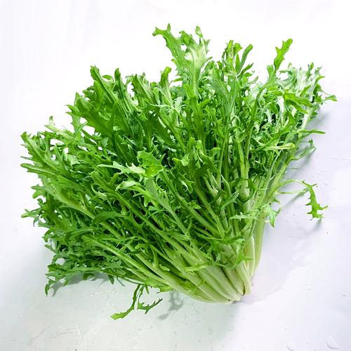 雪里蕻和苦菊怎么区分，雪里蕻苦怎么回事-第2张图片-优品飞百科