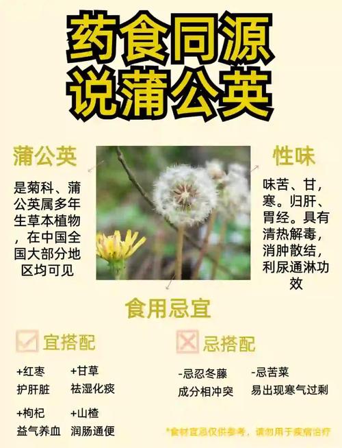 蒲公英怎么种植，蒲公英怎么种植方法？
