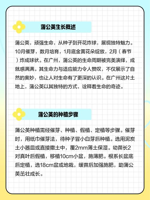 蒲公英怎么种植，蒲公英怎么种植方法？-第5张图片-优品飞百科