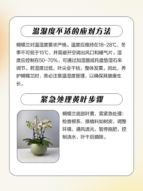蝴蝶兰叶子发黄怎么办，蝴蝶兰叶子发黄怎么办小妙招？-第4张图片-优品飞百科