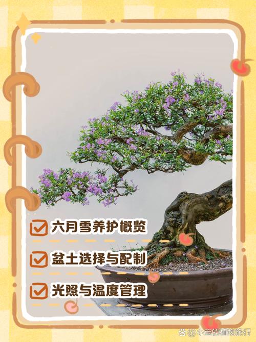 六月雪的养殖方法和注意事项，红花六月雪的养殖方法和注意事项？-第4张图片-优品飞百科