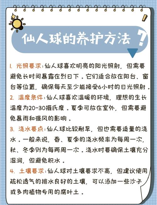 仙人球怎么养长得快，仙人球怎么养才能又大又圆？-第3张图片-优品飞百科