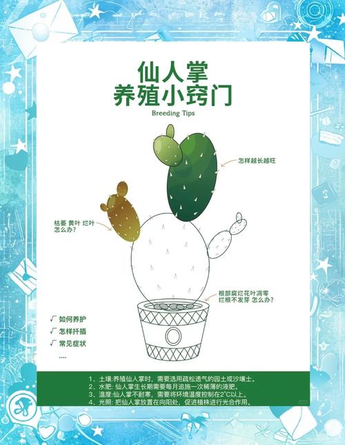 仙人球怎么养长得快，仙人球怎么养才能又大又圆？-第4张图片-优品飞百科