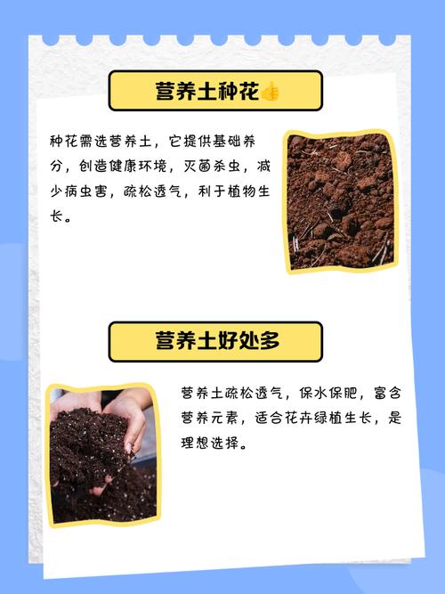 别买营养土了，营养土真的好吗
