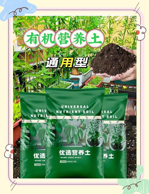 别买营养土了，营养土真的好吗-第4张图片-优品飞百科