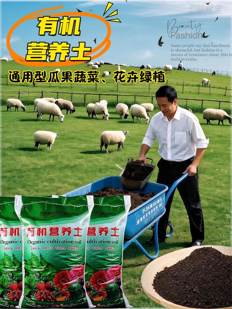 别买营养土了，营养土真的好吗-第7张图片-优品飞百科