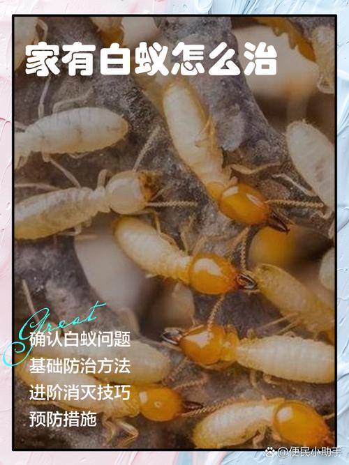 檫木的养殖方法，楤木怎么种植-第2张图片-优品飞百科