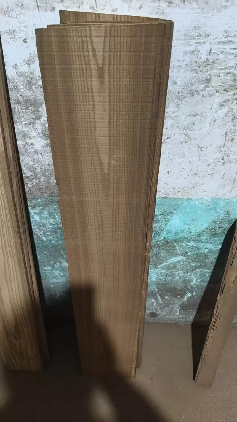 檫木的养殖方法，楤木怎么种植-第3张图片-优品飞百科