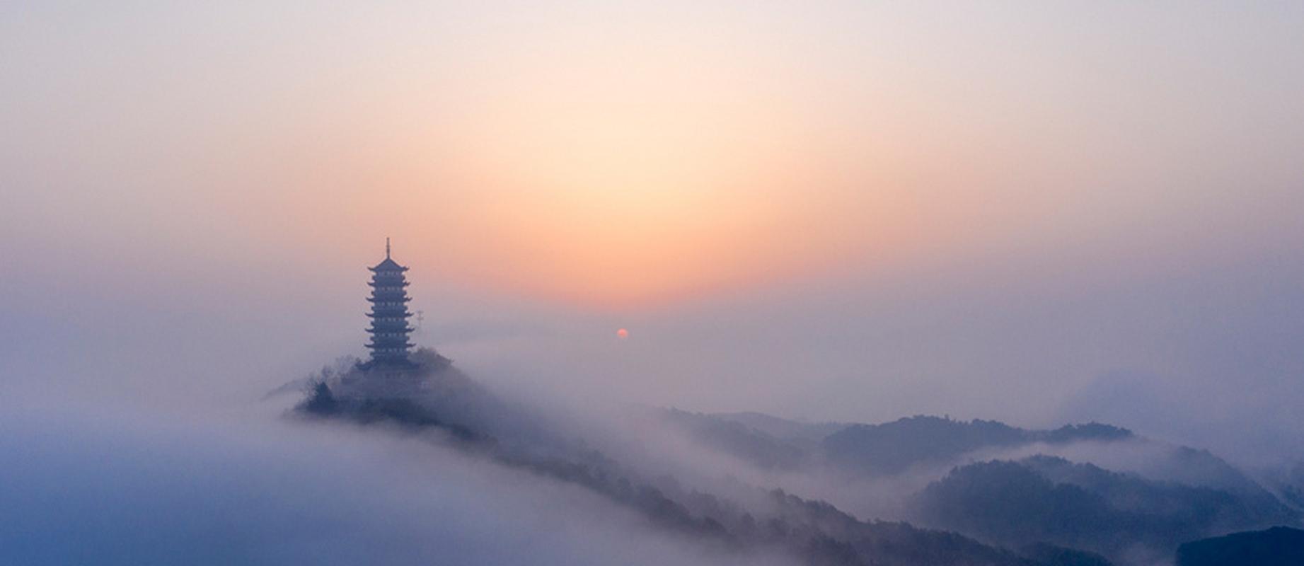 檫木的养殖方法，楤木怎么种植-第6张图片-优品飞百科