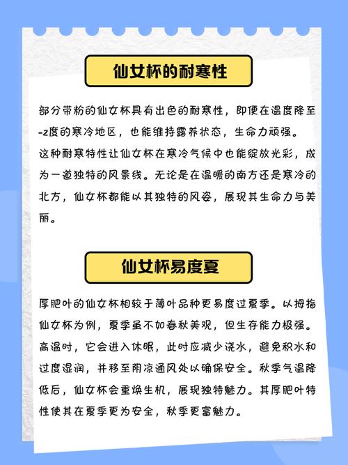 仙女杯的养殖方法和注意事项，仙女杯怎么养才能爆头