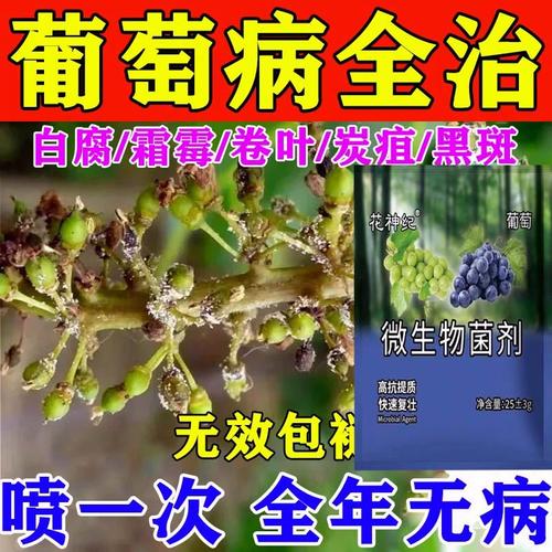 葡萄黄叶是什么病用什么药，是什么原因造成的，葡萄黄叶子怎么办-第3张图片-优品飞百科