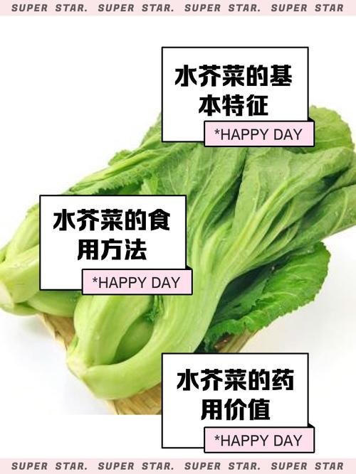 如何辨别猫眼草？什么是猫眼草的图片给我看吗？-第2张图片-优品飞百科