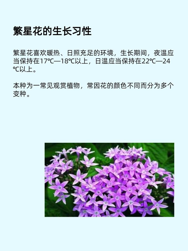 茜之塔的花语，茜之塔好养吗-第3张图片-优品飞百科
