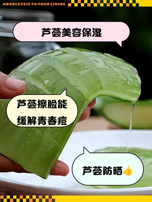 芦荟能直接涂在脸上吗，芦荟怎么敷脸？芦荟可以直接涂在脸上吗 芦荟有哪些功效？