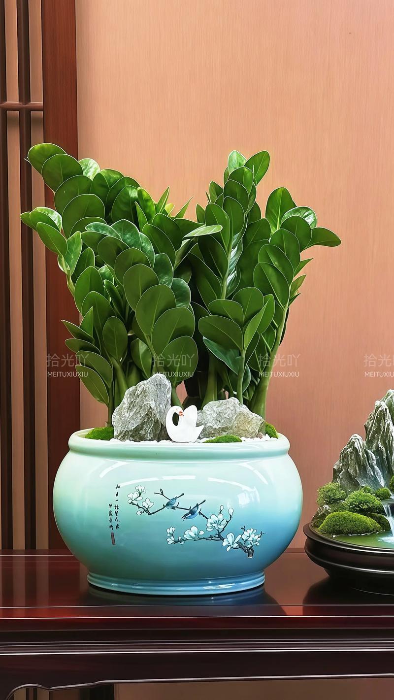 金钱树有毒吗,金钱树有毒吗适合在室内养吗-第6张图片-优品飞百科 金钱树有毒吗,金钱树有毒吗适合在室内养吗-第6张图片-优品飞百科