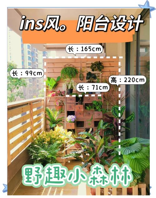 关于这3种植株不能“晒”的信息-第5张图片-优品飞百科 关于这3种植株不能“晒”的信息-第5张图片-优品飞百科