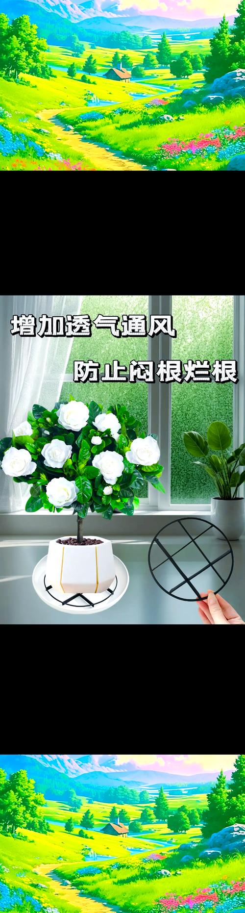 绿萝土里可以放鸡蛋壳吗？绿萝土里可以放鸡蛋壳吗视频？-第4张图片-优品飞百科