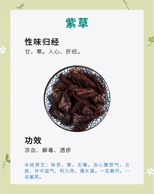 紫草的功效与作用，紫草的功效与作用与主治？-第5张图片-优品飞百科