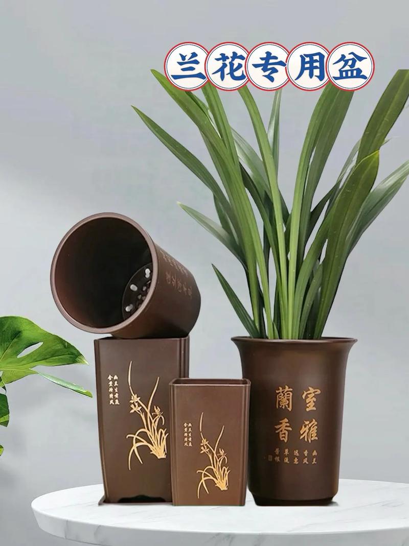 兰花对花盆有什么要求，兰花养殖盆的要求-第2张图片-优品飞百科