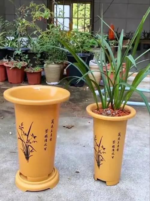 兰花对花盆有什么要求，兰花养殖盆的要求-第5张图片-优品飞百科