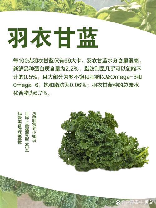 羽衣甘蓝的功效和作用？羽衣甘蓝的食用方法？-第5张图片-优品飞百科