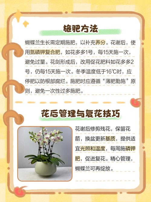 蝴蝶兰开花时能施肥吗，蝴蝶兰花谢后怎么处理